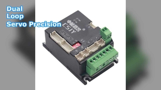 이중 루프 서보 드라이버