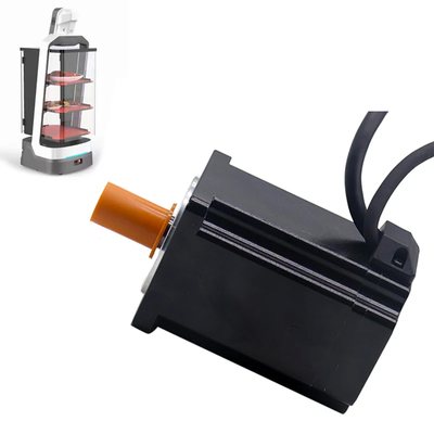 주문 48V 200W 서보 모터 인크레멘탈 인코더 0.637nm 물류 분류용 토크 온라인 제품