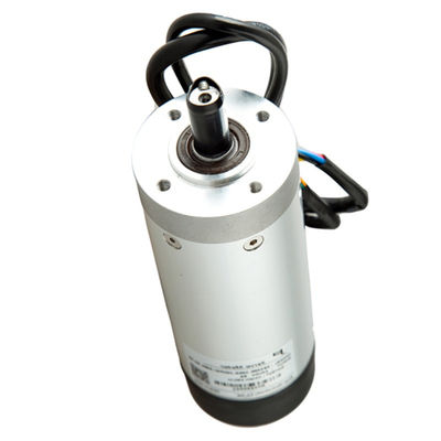 주문 개찰구 스윙 게이트 영구 자석 100W 24V DC 서보 모터 IE 4 온라인 제품